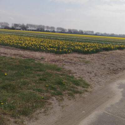 Faiz Muntaqa is looking for a Rental Property in Amstelveen